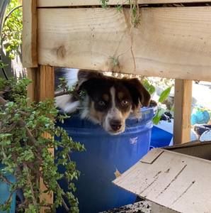 Meet your Posher, Tessa